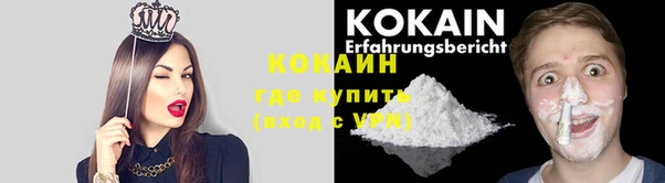 герыч Сосновый Бор