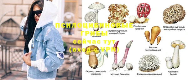 mdpv Сосновка