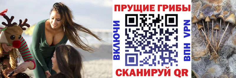 Псилоцибиновые грибы Magic Shrooms  Купить  Армавир 